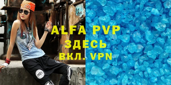 гидра Богданович
