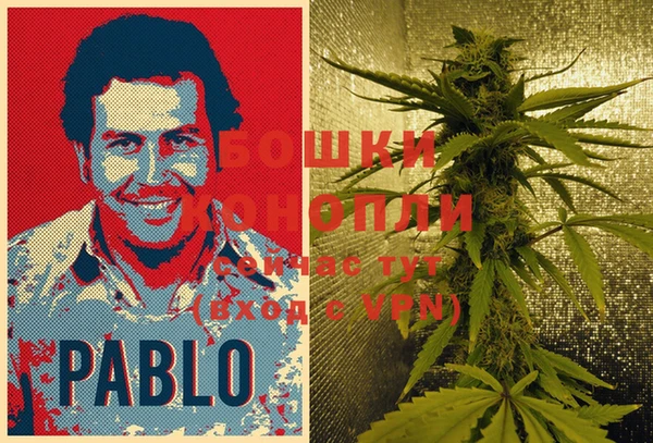 гидра Богданович
