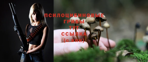 гидра Богданович