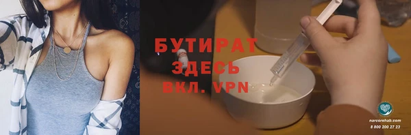 гидра Богданович