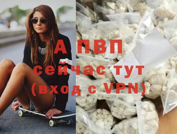 гидра Богданович