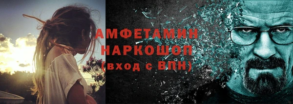 гидра Богданович