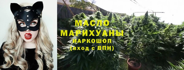 гидра Богданович