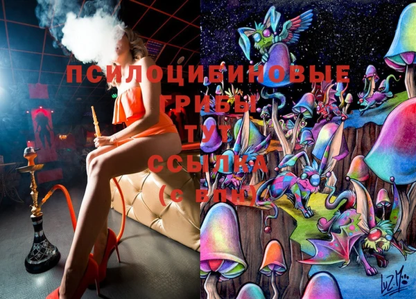 гидра Богданович