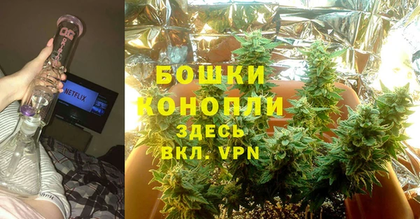 гидра Богданович