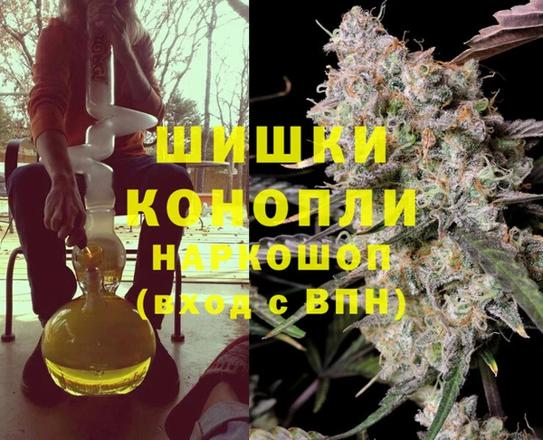 гидра Богданович