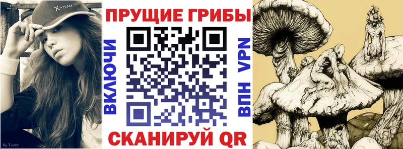 Галлюциногенные грибы мухоморы  hydra tor  Нарьян-Мар 